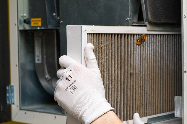 Best Air Quality Test  in Dequincy, LA