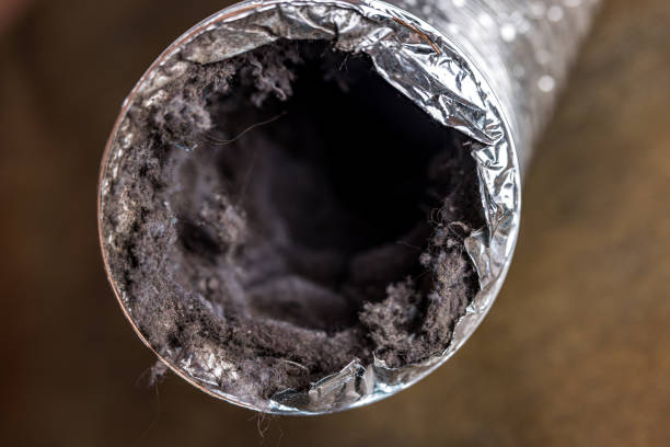 Best Local Air Duct Cleaning Services  in Dequincy, LA